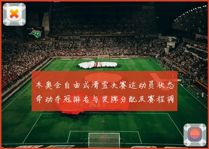 冬奥会自由式滑雪决赛运动员状态牵动夺冠排名与奖牌分配及赛程调整