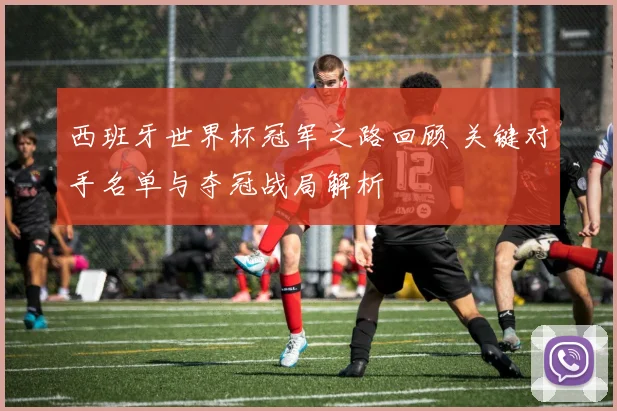 西班牙世界杯冠军之路回顾 关键对手名单与夺冠战局解析