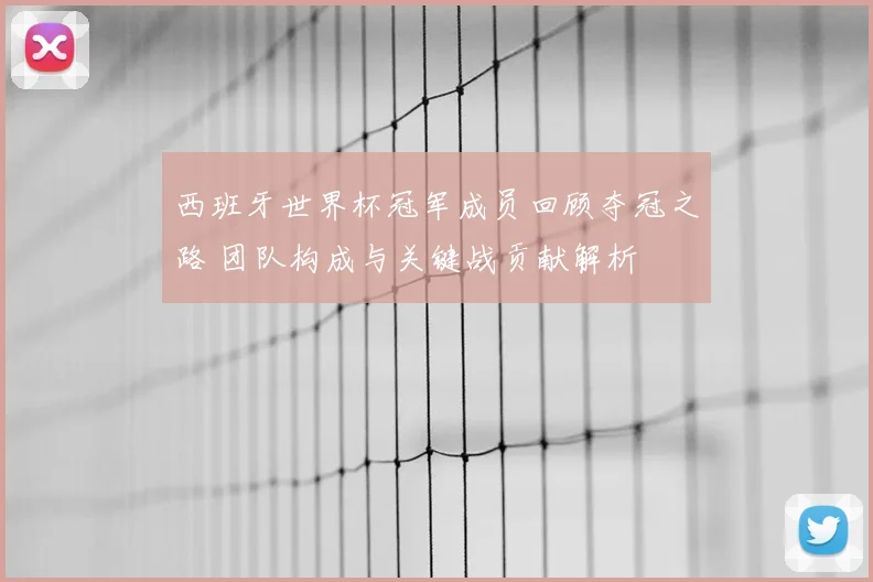 西班牙世界杯冠军成员回顾夺冠之路 团队构成与关键战贡献解析