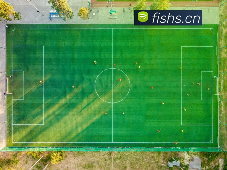 近年欧冠冠军阵容解读:哪些巨星主宰了欧洲足坛最高舞台